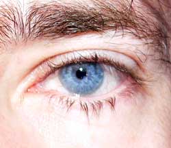 Profil de Mafoud